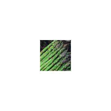 Sell Frozen Asparagus (White and Green)