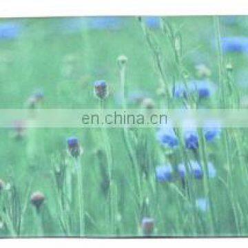 Eco Friendly PVC Yoga Mat photo-7