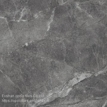 Fullbody Tiles / Glazed Tiles 800X800 photo-3