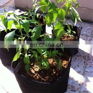 Factory OEM Product Grow Bags photo-2