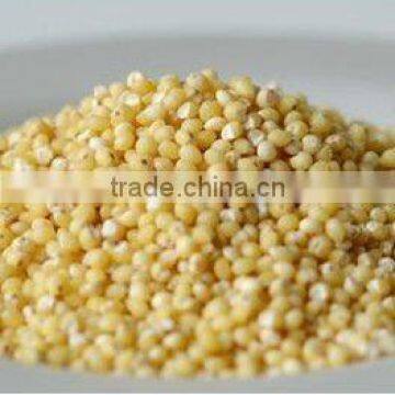 millet