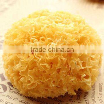 farm produce natural special grade tremella,yiner