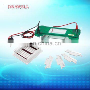 SPBT дешевая лабораторная и медицинская горизонтальная электрофорез photo-6