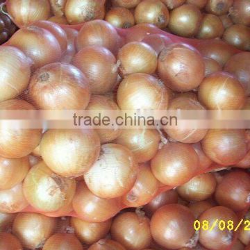 China Yellow Onion