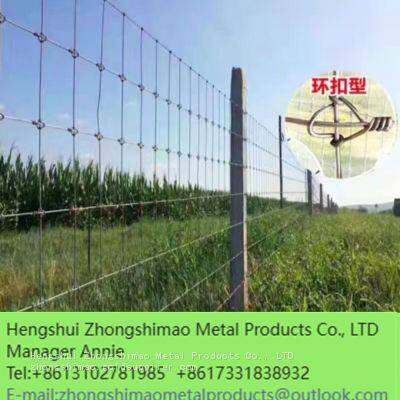 Grassland fence/Field Fence/Galvanized Steel Mesh/ stock fencing wire/Cattle fence