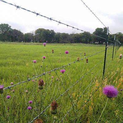 Wholesales Fencing Hot Dipped Galvanized Barbed Wire photo-6