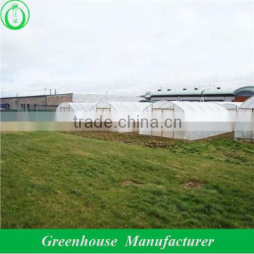 plastic greenhouse price