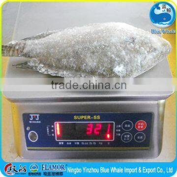 Frozen Tilapia WR 300-500g (the best Only the best)