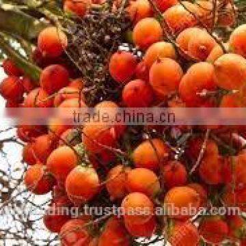 Betelnut Premium Quality photo-4