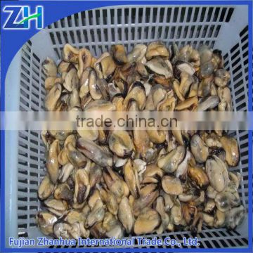 Frozen recooked blue mussels meat half shell