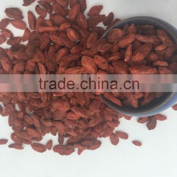 Sweet Goji Berries Dried