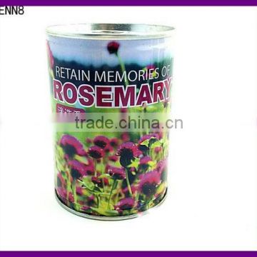 Mini Flower Can Flower Tin Flower Plant