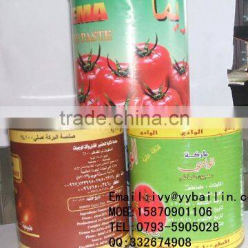 Double concentrated canned tomato paste with best quality