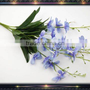 wholesale china factory cattleya orchids for sale