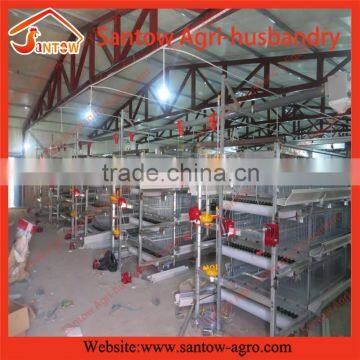 Hot Galvanized Automatic H type Broiler Chicken Cage