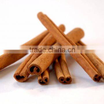 Viet Nam CASSIA - GREAT QUALITY