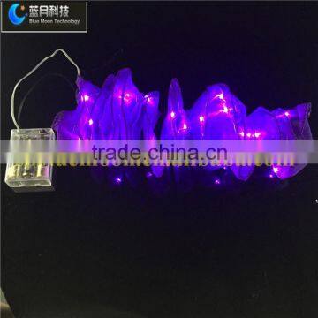 2015 China Market Hot Sale Copper Wire Ribbon Light photo-3