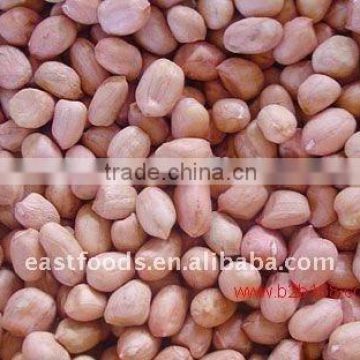 Chinese round type Peanut Kernels