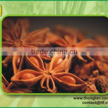 Aniseed sticks, hight quality, good price by Thongtan