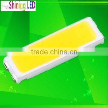 LED Encapsulation Series CRI>70Ra 55-65LM 0.5W SMD LED 7020 Warm White