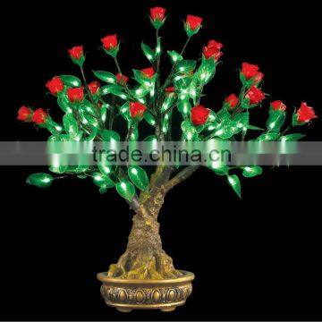 bonsai rose blossom tree