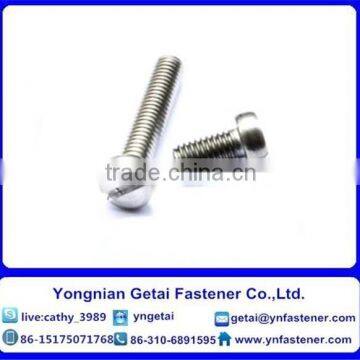 Stainless Steel Slotted Screws with Countersunk head /Pan head/Cheese head /Raised Countersunk Head