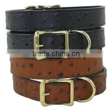 dog collar