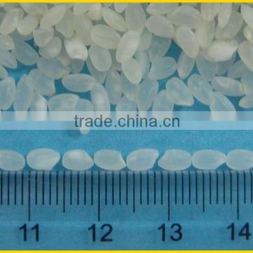 White Rice JAPONICA GOOD QUALITY (Viber/Whatsaap:+84965152844)