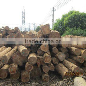 TEAK Wood TIMBER