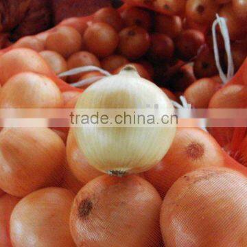 2011 fresh yellow onion