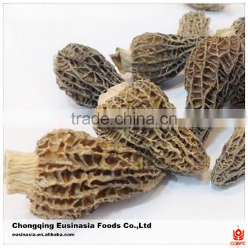 price of black morel mushroom/dried morel mushroom for sale