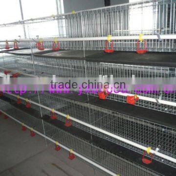 broiler cage/ baby chicken cage