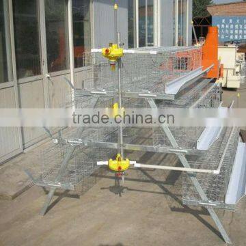 beat steel cage for chicken farm