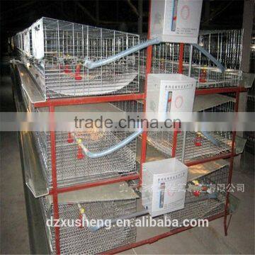 XSC-2 H line chicken cages for farm