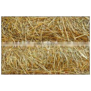 Good Quality Silage Making Machine Fodder Kneading/cutting Machine Grass/Straw Chopper Machine photo-3