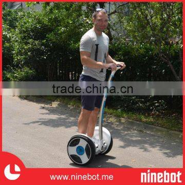 China Electric Chariot photo-4