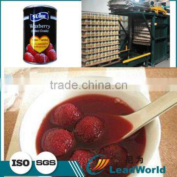 Hot Automatic Canned Waxberry/red Bayberry Palletizer photo-2