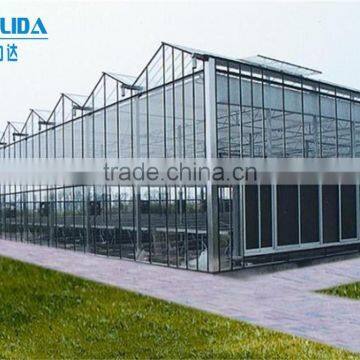 Large Plastic Film Greenhouse With Control System for Plant Growth