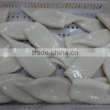 Frozen Tordarodes and Argentina Squid Tube U10,U5 photo-4