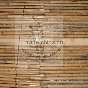 Bamboo Fence photo-5