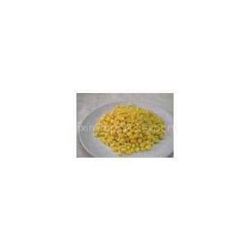 Sweet IQF Frozen Corn Kernels , Healthy Frozen Vegetables with BRC ISO22000