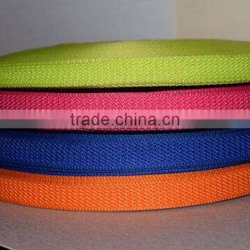 Polyester Webbing photo-2