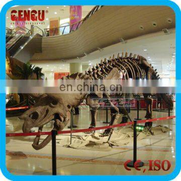 Shopping Mall High Quality Fiberglass Dinosaur Fossilien