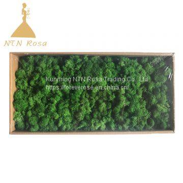 Hot Selling Green Moss Grass Wall for Decoration photo-3