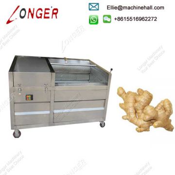 Brush Type Ginger Cassava Peeling and Washing Machine