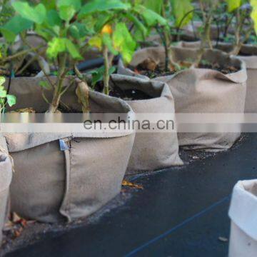 Heavy Duty Thickened White Felt Grow Bags photo-5