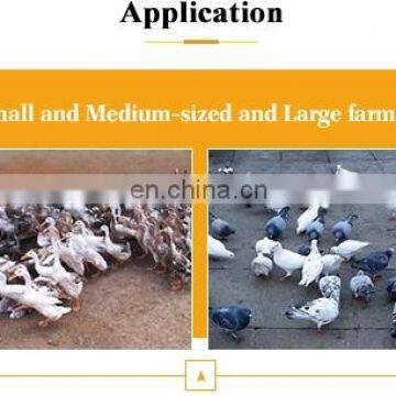 Factory Providing All Kinds of Chicken Plucker and Chicken Plucking Machine Parts photo-6