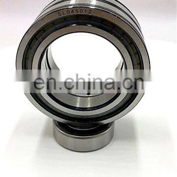Double Row Cylindrical Roller Bearings SL04 5006 SL04 5006 PP NNF5006-ZLSNV