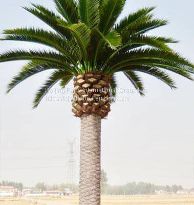 Artificial Date Palm