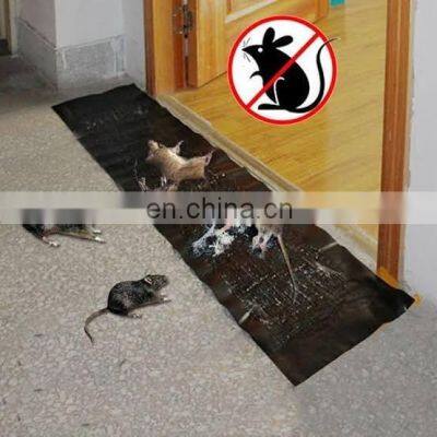 Top sale factory price 1.2m length large mouse pest control for house